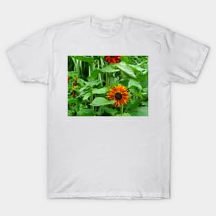 Majestic yellow sunflower in the garden T-Shirt